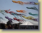 Saachi-Kite-Festival-Jul09 (18) * 3072 x 2304 * (2.79MB)